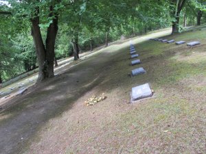 The military cemetery of Illfurth