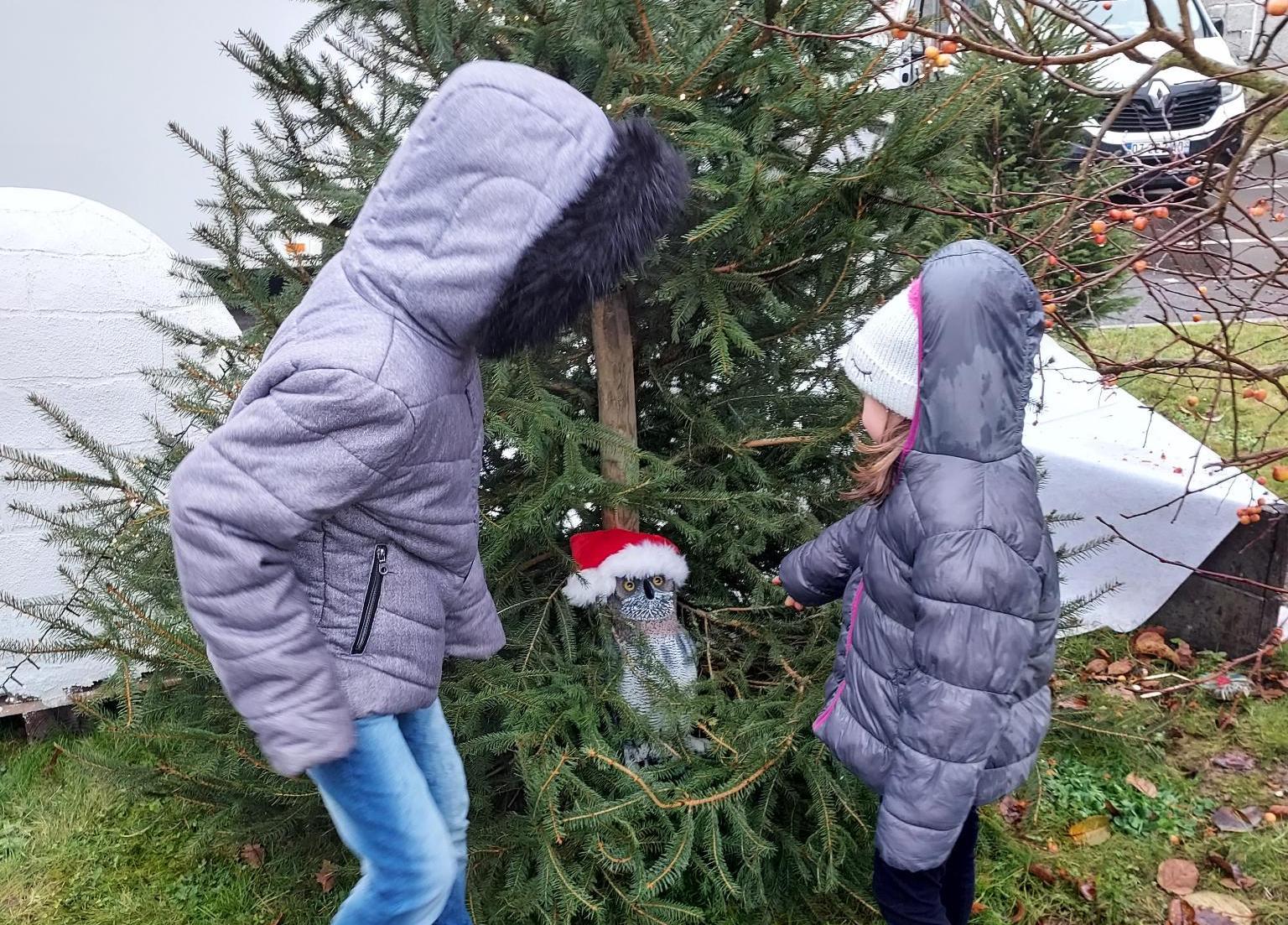 calendrier-aventure-hibou